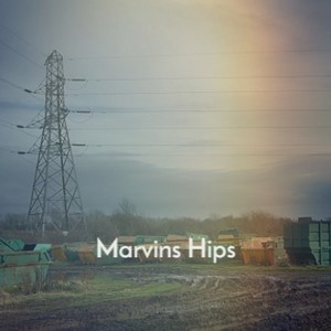 Marvins Hips