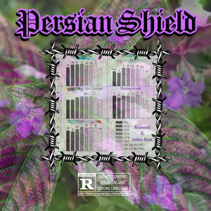 Persian Shield (feat. Knomad) (Explicit)