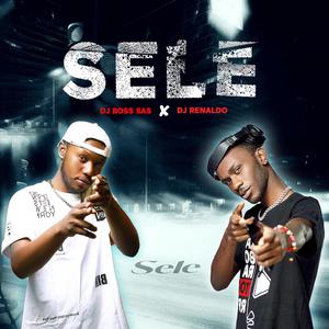 Sele (feat. DJ Renaldo)