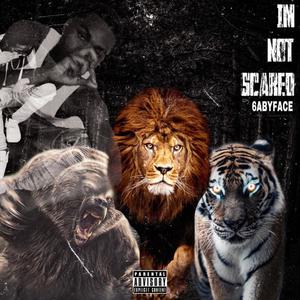 Not Scared (Explicit)