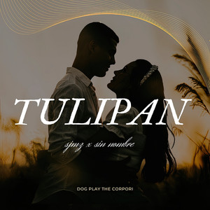 Tulipán