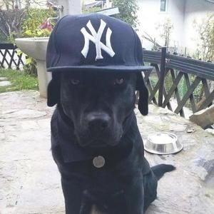 Raw Dawg (feat. Renolucki) (Explicit)