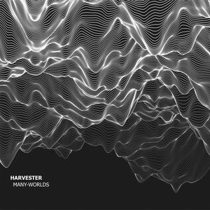 Many-Worlds