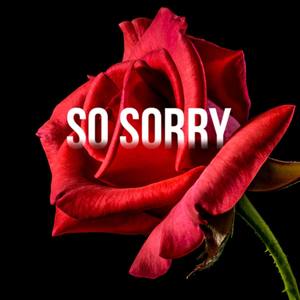 So Sorry (Explicit)