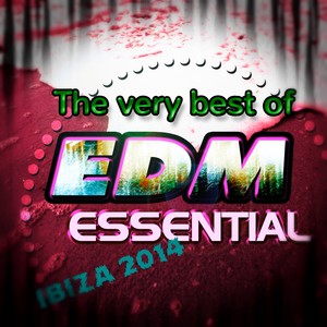 The very Best of EDM Essential Ibiza 2014 (50 Tracks for DJ)