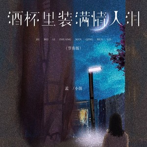 酒杯里装满情人泪 (节奏版)