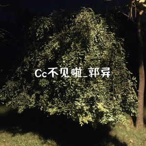 Cc不见啦