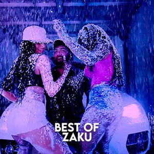 Best of Zaku