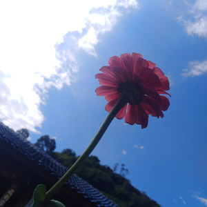 消除疲惫的雨声