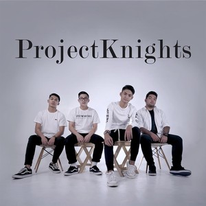 Projectknights