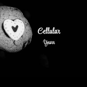 Cellular