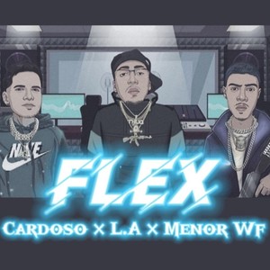 Flex (Explicit)