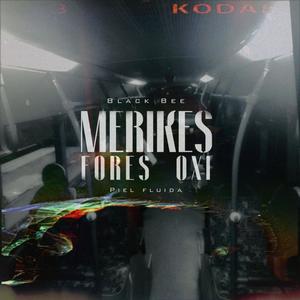 Merikes Fores Oxi (feat. Piel Fluida)