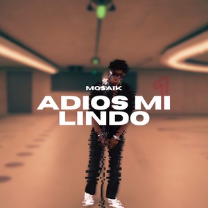 Adios mi Lindo