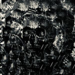 Penelope Rose versus The World