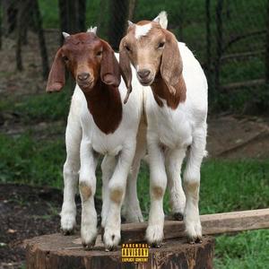 vhayolensi (Explicit)