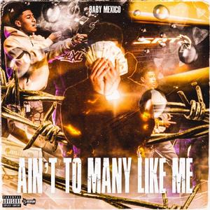 Ain't To Many Like Me (Explicit)