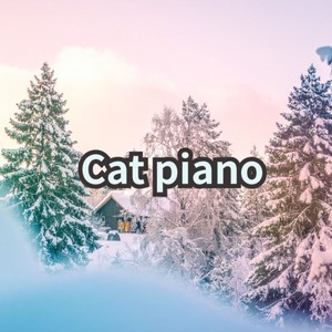 cat piano