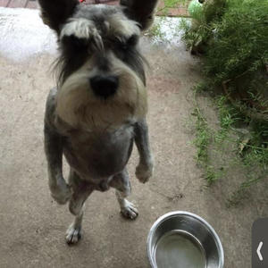 Quickdraw (feat. Fordy) (Explicit)