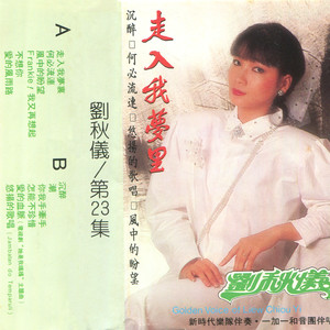 不想你 (修复版)