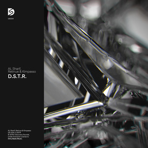 D.S.T.R. (Extended Mix)