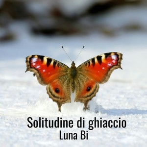 Solitudine di ghiaccio
