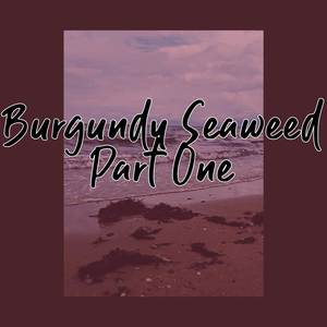 Burgundy Seaweed, Pt. 1 (Explicit)