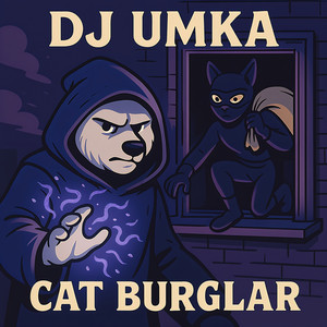 Cat Burglar