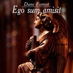 Ego Sum Amisit