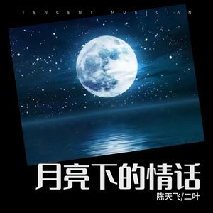 陈天飞 - 月亮下的情话 (伴奏)