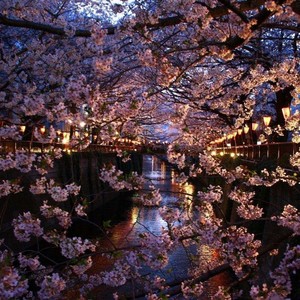 也许我这一生都无法走进你的生命