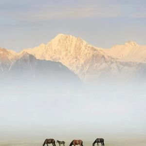 婚礼进行曲 (MVP结算)