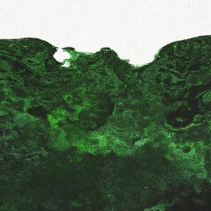 Artikko - perseverante