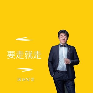 要走就走 (新版)