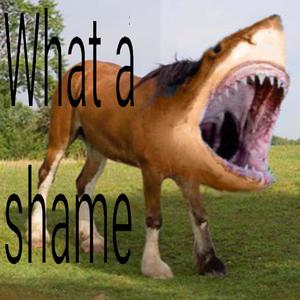 What a Shame 2 (Explicit)