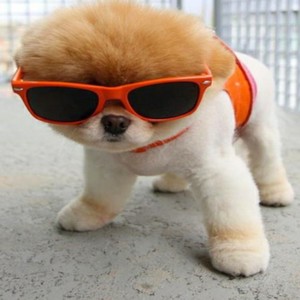 Naak Hai Bhari Bhari