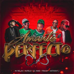 Amante Perfecto (feat. Nutelo Fresh, Anthony J, Mr Relax & Trac3y Los)