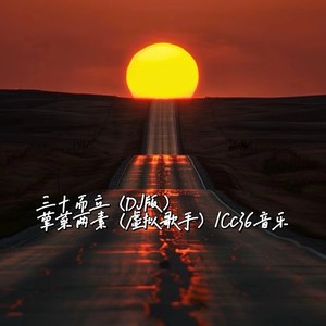 三十而立 (DJ版)