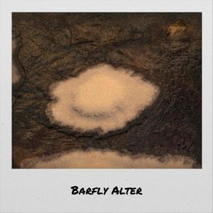 Barfly Alter