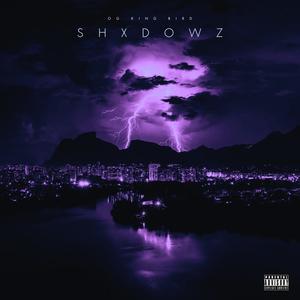 SHXDOWZ (feat. Angel Strachy) (Explicit)