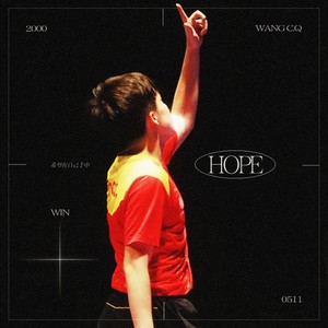 王楚钦应援曲 - HOPE