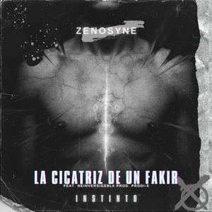 La cicatriz de un fakir