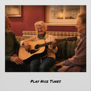 Play Nice Tunes