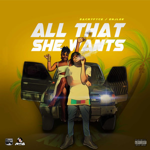 All That She Wants (Explicit)