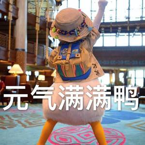独家记忆