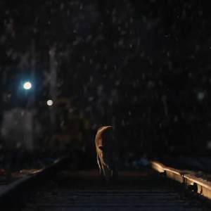 离开我以后你更幸福