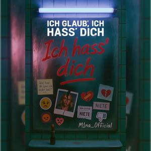 Ich glaub ich Hass Dich (Explicit)