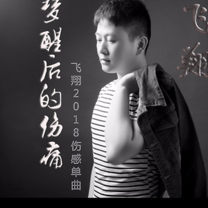 梦醒后的伤痛 (伴奏)