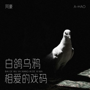 白鸽乌鸦相爱的戏码