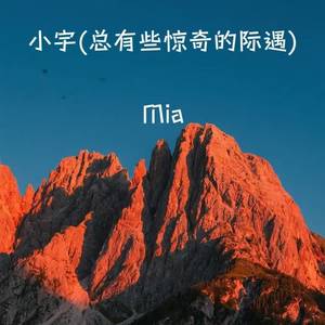 小宇 (总有些惊奇的际遇)
